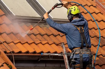 Démoussage et hydrofuge de toiture à Mazangé